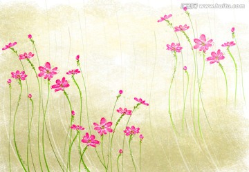 壁紙