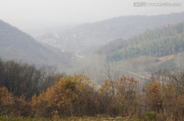 茶山 林海 村庄 群山