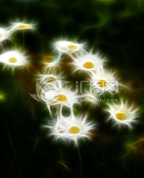 裝飾畫 無框畫 花