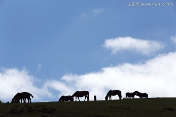 天马