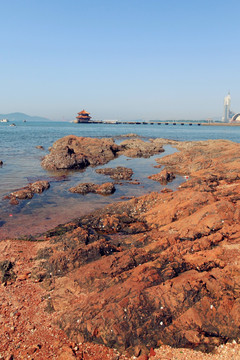 青岛风景