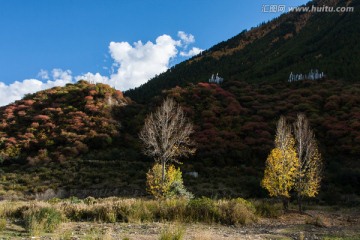 西藏秋色 山坡 风马旗