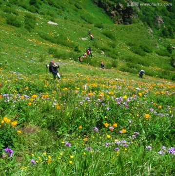 山花烂漫