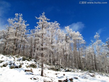 林海雪原