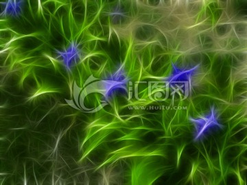 裝飾畫 無(wú)框畫 花