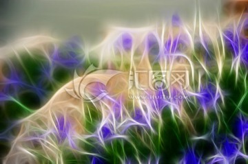 裝飾畫 無框畫 花