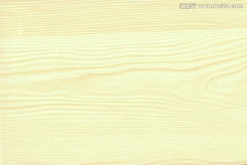 天山雪松