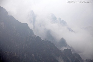 伏牛山老界岭的山中云海