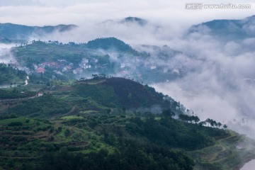 山 云雾 梯田