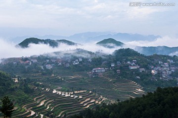 山 云雾 梯田