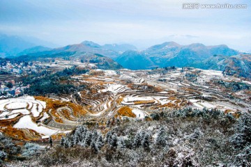 茗岙雪景