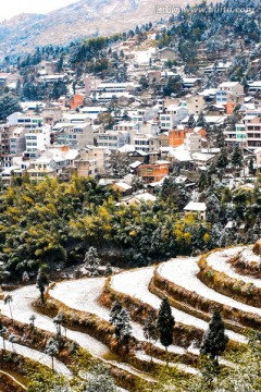 雪景