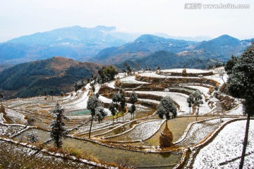 田中田 雪景