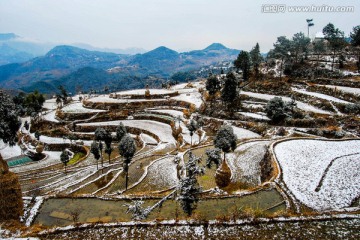 雪景 梯田