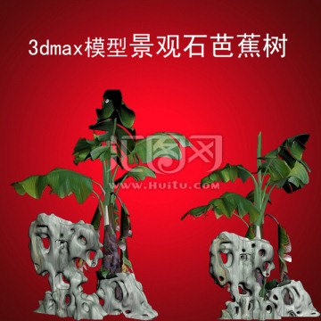 3dmax模型景观石芭蕉树