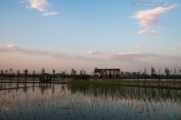北京园博园功能湿地