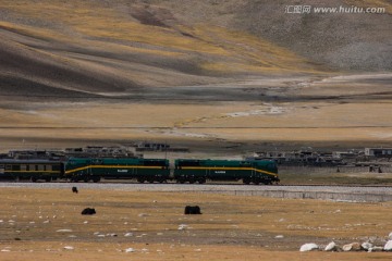 高原牧场 青藏铁路 火车