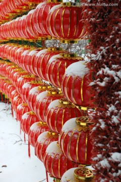 灯笼 大红灯笼 雪花 雪景