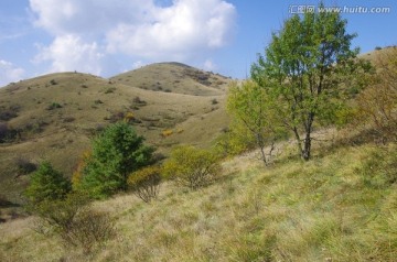 陕西安康岚皋神禾草原 高山草甸