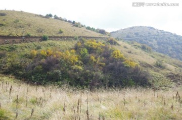 陕西安康岚皋神禾草原 草甸