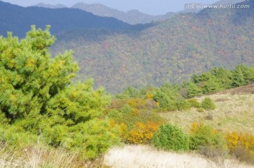 陕西安康岚皋神禾草原 高山草甸