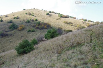 陕西安康岚皋神禾草原