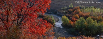 天山红叶 天山风光 高清大图