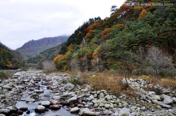 唐家河自然保护区