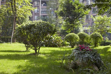 小区楼盘园林景观植物绿化