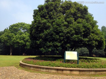 南京 灵谷寺 钟山风景区 草坪