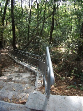 山林小道