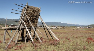 香格里拉风光