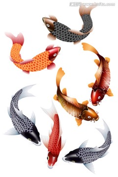 工筆畫 鯉魚