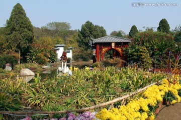 开封 菊花花会展