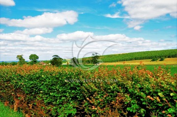 英国风景（非高清）