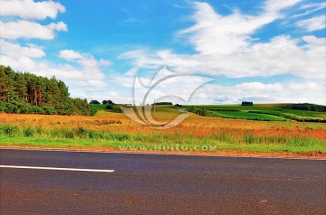 英国风景（非高清）