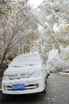 积雪  汽车