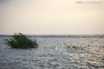 淀山湖 水面 公园 户外 晴天