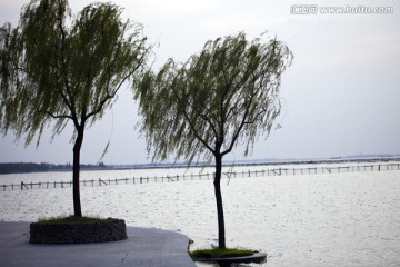 淀山湖 水面 公园 户外 晴天