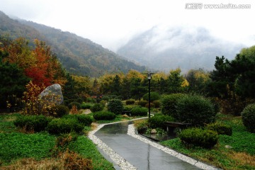 雨中上山的石板路