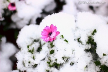 雪景