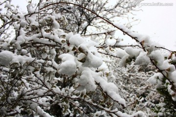 雪景