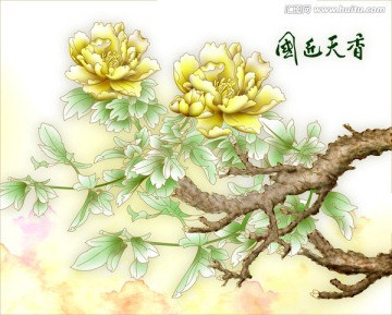國色天香