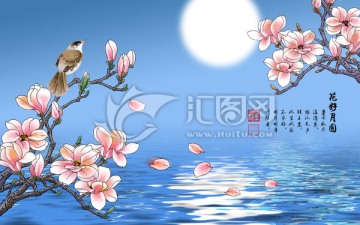 大型壁紙壁畫 花好月圓