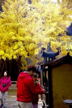 怀柔红螺寺