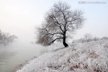 雾凇 雪景