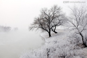 雾凇 雪景