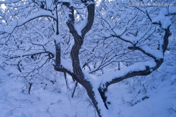 水长城雪景