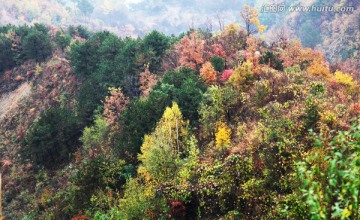 五彩斑斓的伏牛山老界岭秋色