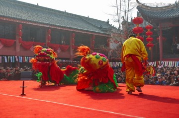 舞狮表演